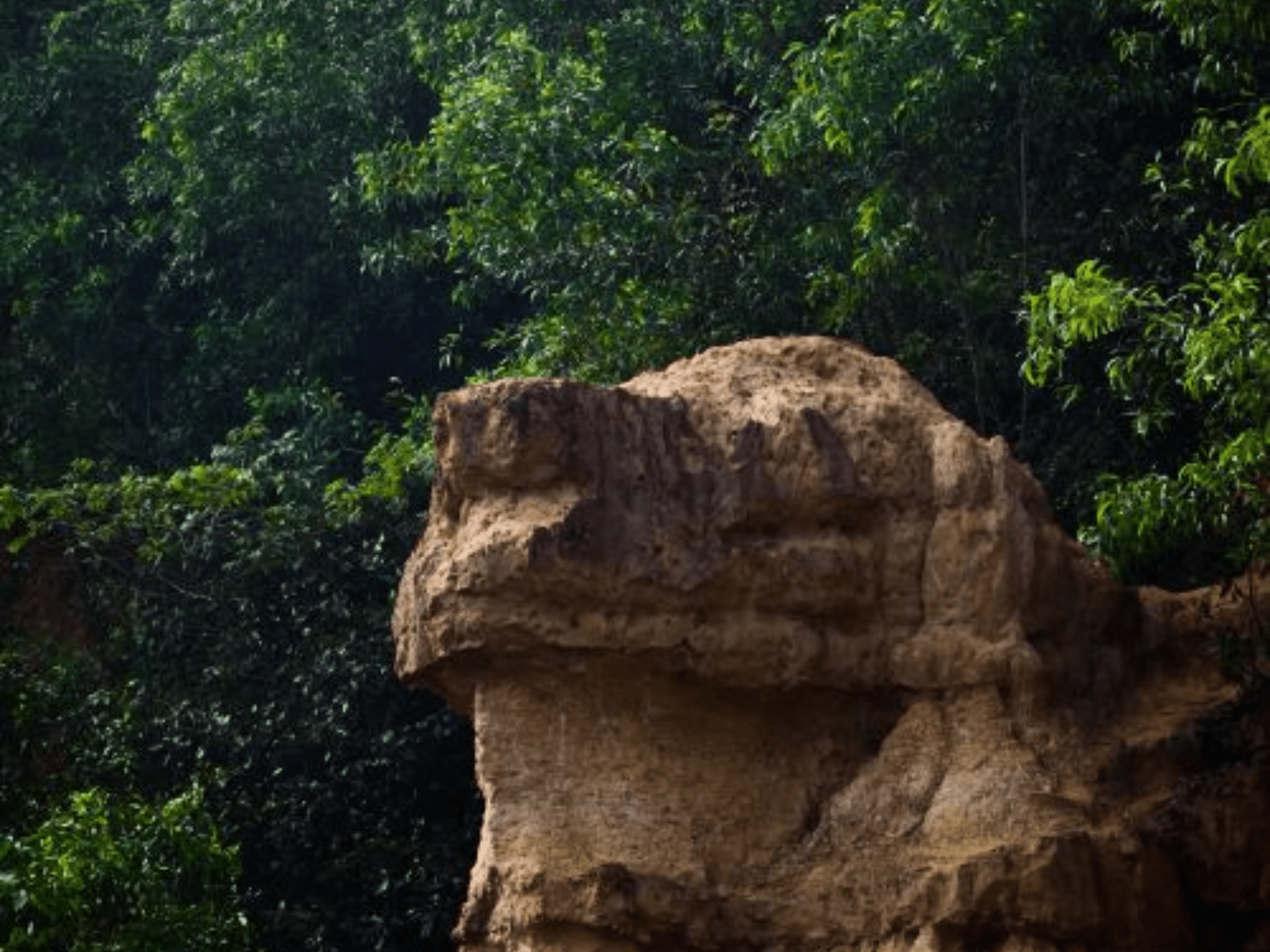 Unakoti