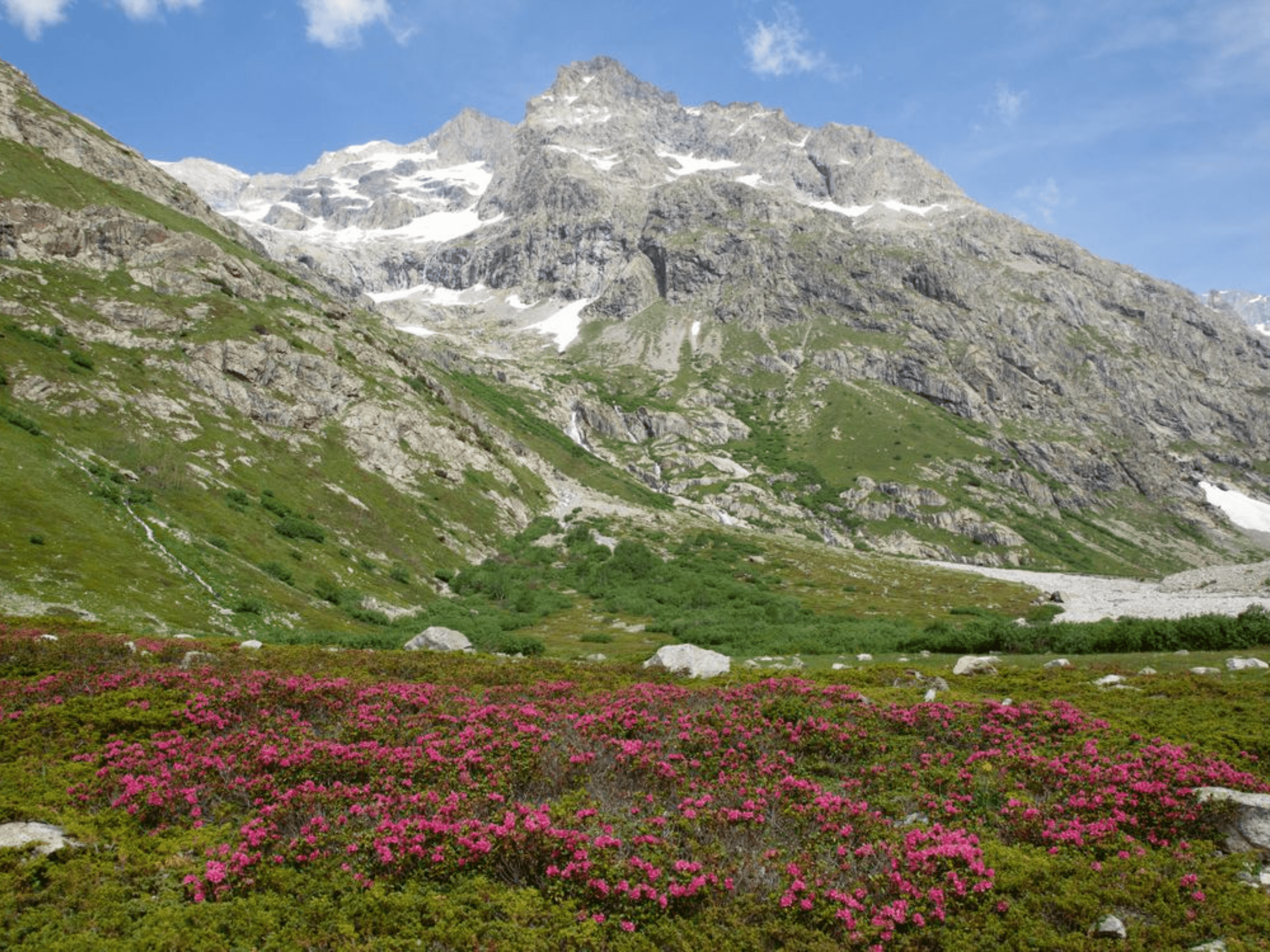 North Sikkim